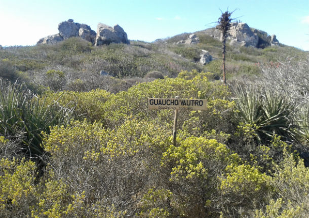 BioParque Puquén. Conservación natural en la costa de Los Molles