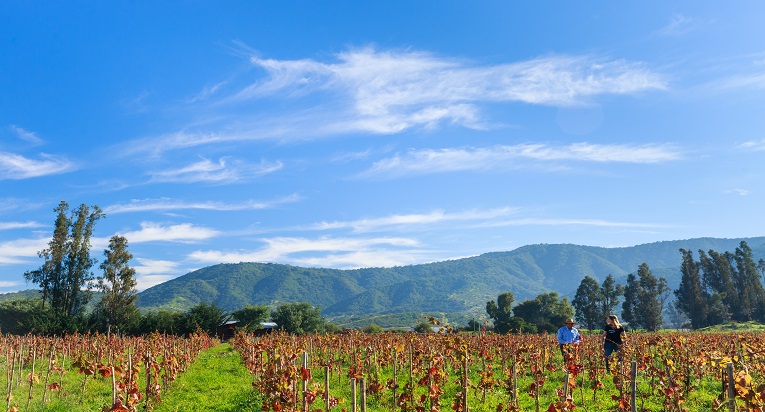 El valle de Casablanca es un imperdible estas vacaciones de invierno en el norte de Chile.