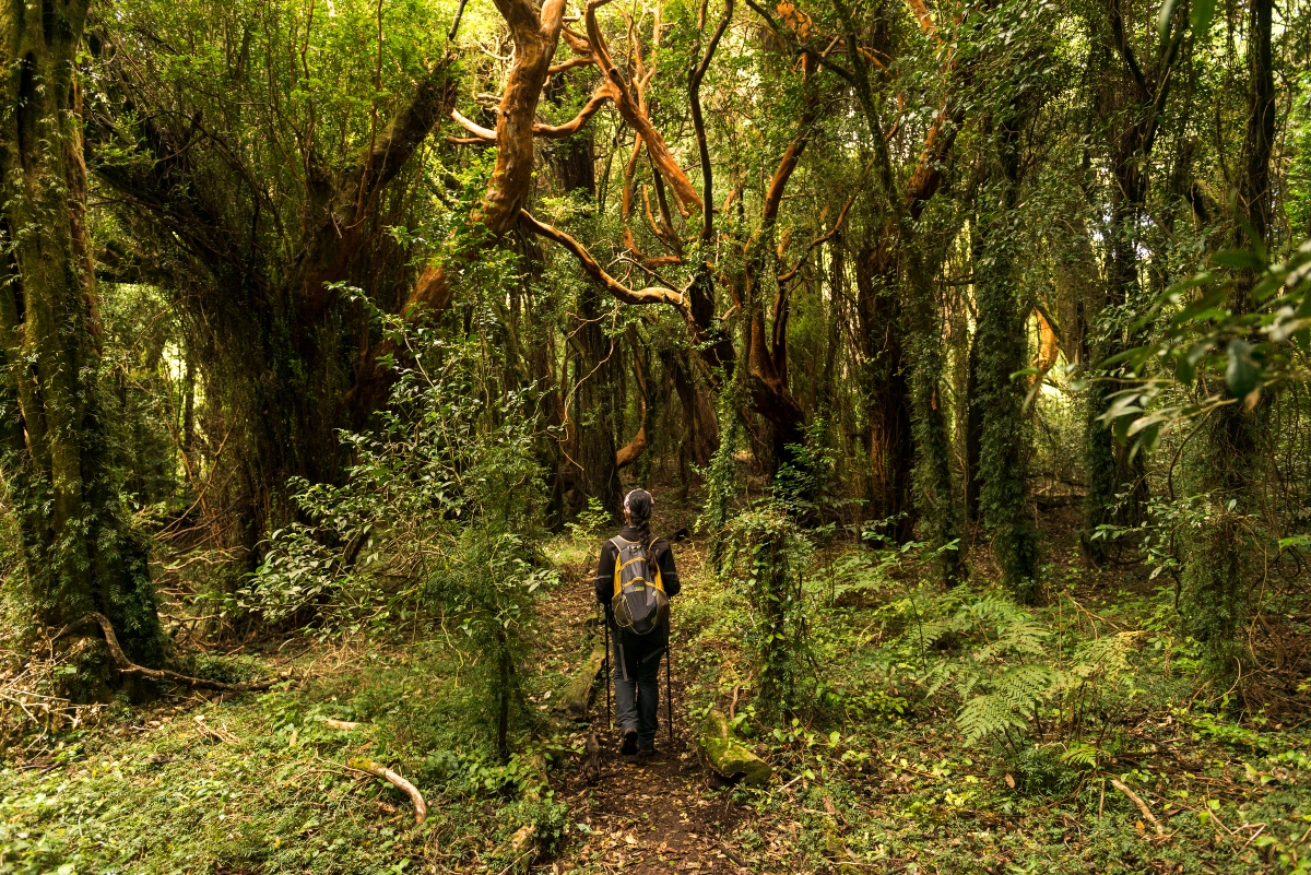 Una mujer realizando trekking en Isla Mocha