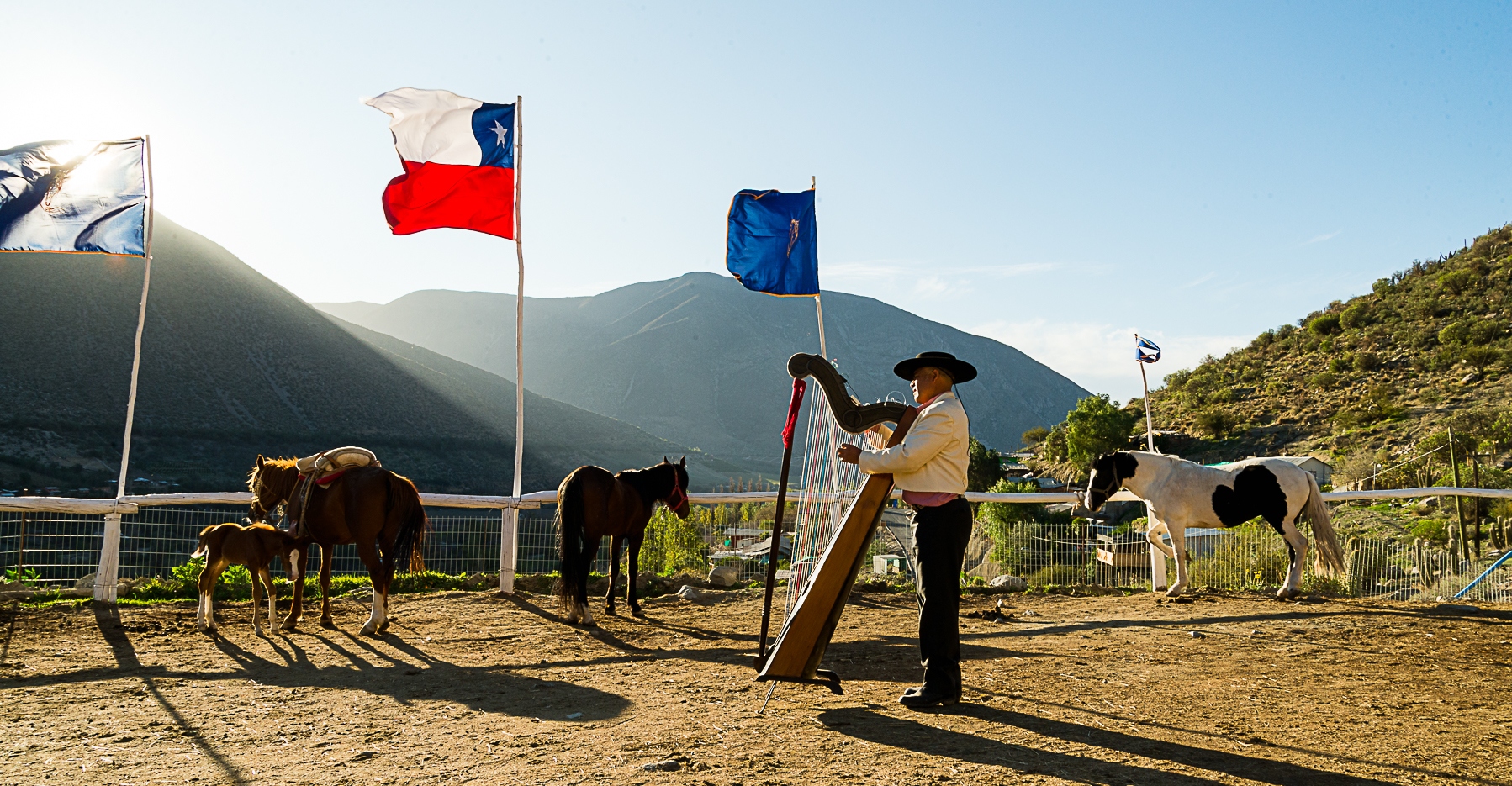 Imagen de un hombre tocando arpa para los caballos en la amansa Cuna del Sol
