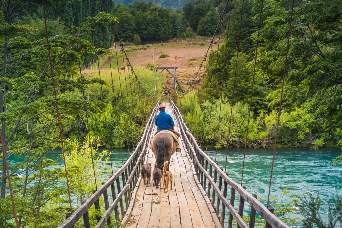 Imagen de un hombre cruzando a caballo uno de los puentes colgantes en Futaleufú