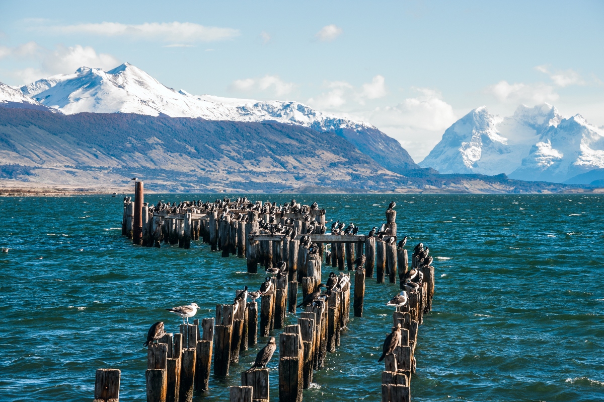 Imagen de Puerto Natales donde se aprecian los diques y la imponente cordillera
