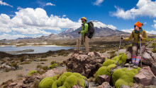 TREKKING LAGUNAS COTACOTANI  Reserva Lauca