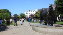 Plaza Osorno