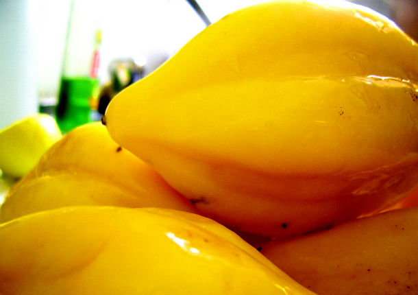 papayas de Coquimbo