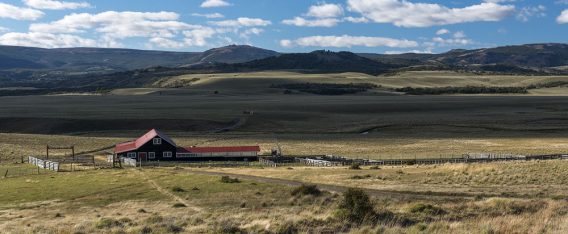 8 días en la Carretera Austral para visitar las Estancias de la Patagonia