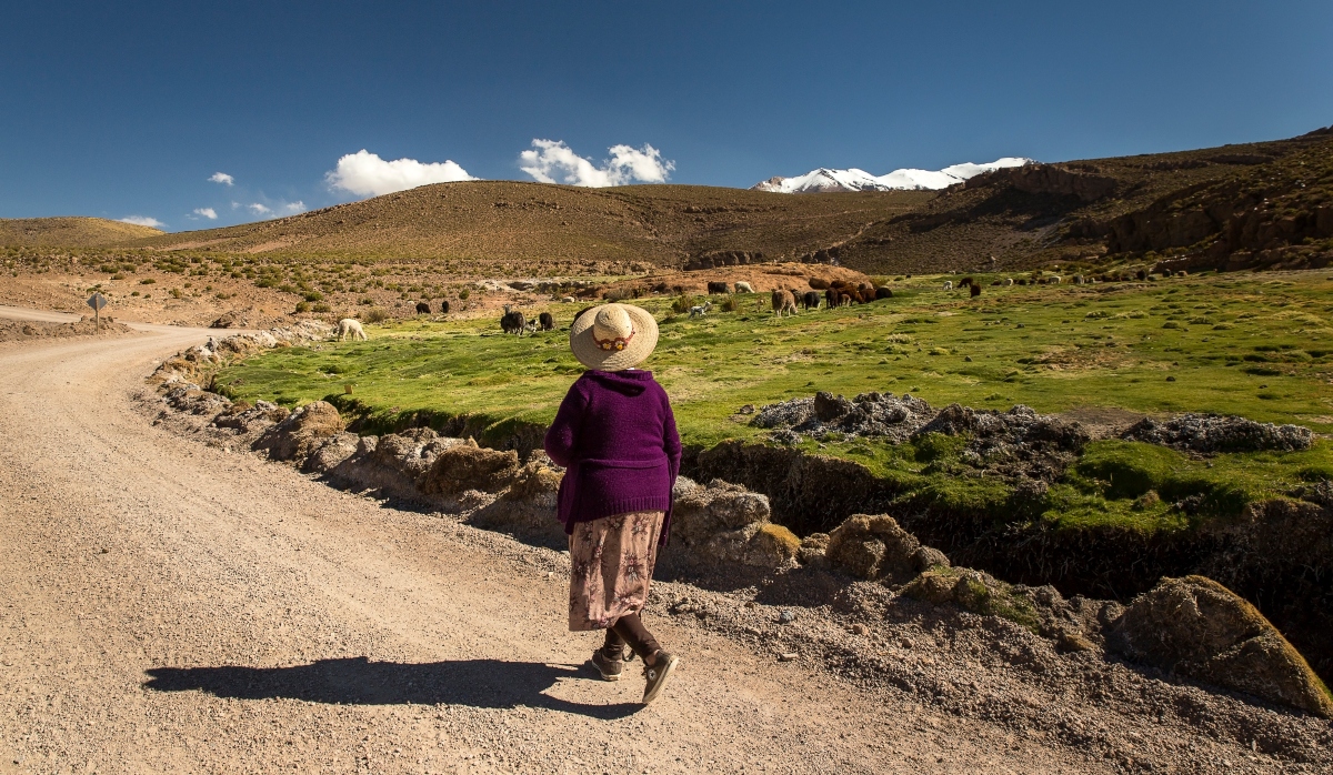 Imagen de una mujer aymara caminando en el altiplano
