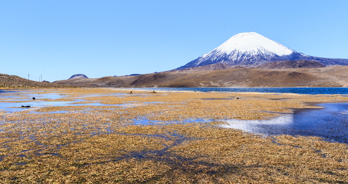 Imagen del Lago Chungará en un día despejado donde se puede apreciar el contraste del desierto con sus azules aguas