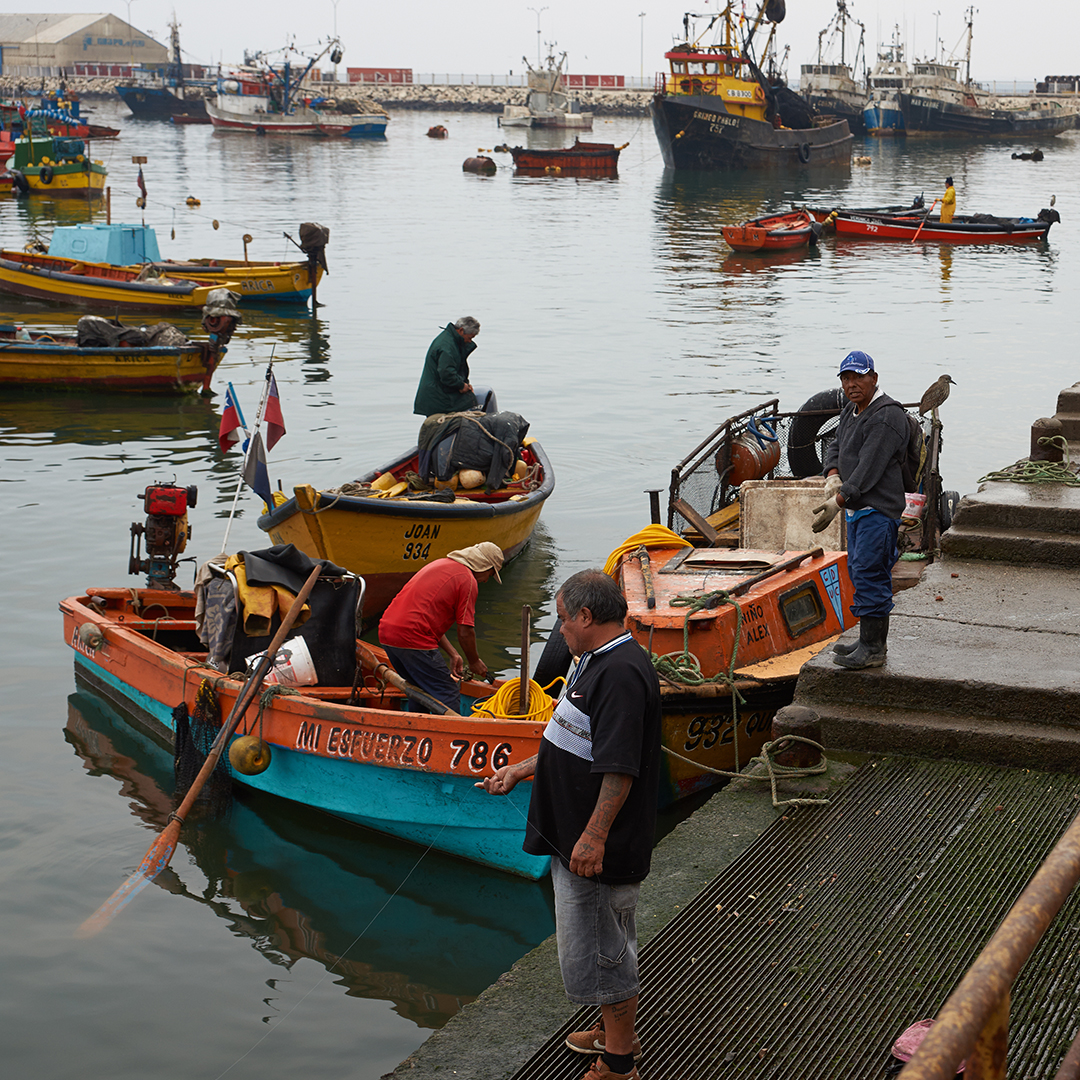 Caleta Camarones pescadores reunidos en sus botes